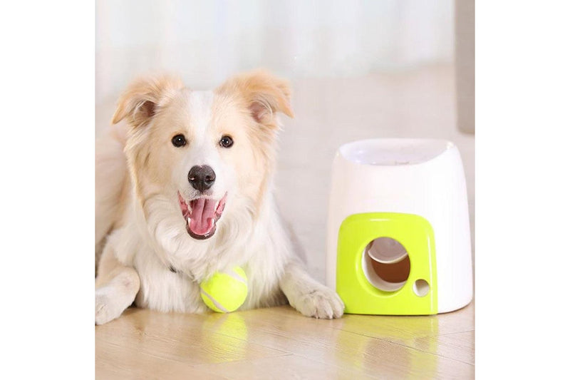 Pet Dog Double Hole Food Reward Machine Automatic Dog Toy Tennis Ball Launcher