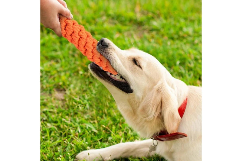 10Pcs Set Dog Chew Bite Toy Pet Braided Rope Toys Teeth Cleaning Toys Style 2