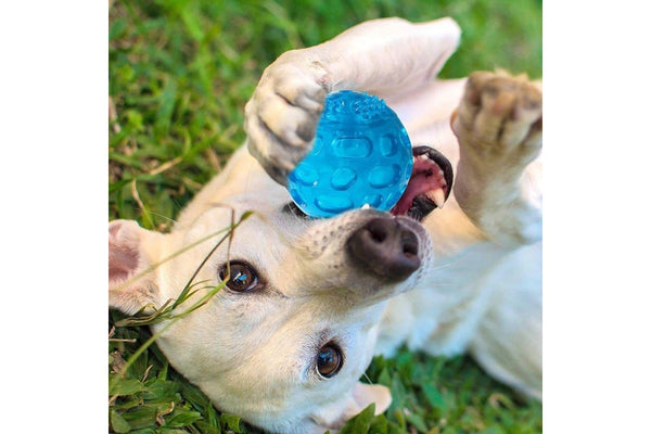 Floatable Squeaker Sound Dog Ball Toy For Small Medium Large Dogs