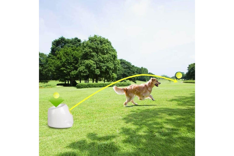 Creative Dog Pet Toys Tennis Launcher Ball Thrower