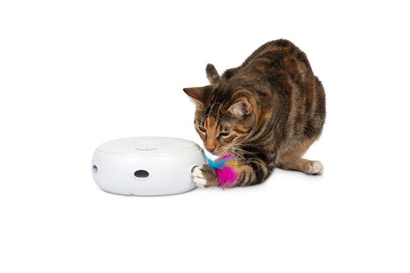 Auto-Rotating Smart Turntable Cat Teaser