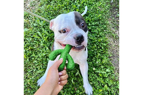 Cactus Shaped Dog Chew Toys Rubber Pet Teething Toy Interactive Dog Toys Dog Cleaning Teeth Toy