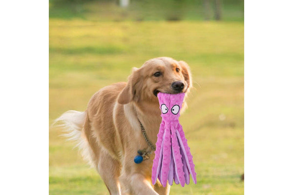 FancyGrab Dog Chew Toys Dog Squeaky Toys Octopus Squeaky Toys For Puppy Purple