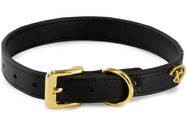 Disney: Gold Logo Vegan Leather Dog Collar - Medium (1.9cm Wide)