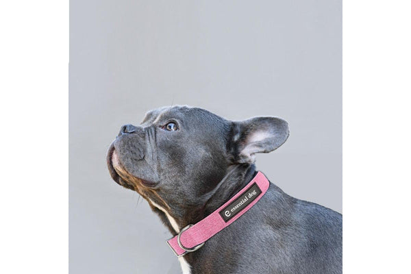 Natural Hemp & Cotton Dog Collar (Pretty Pink) Large