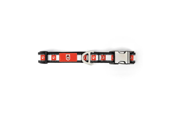 NRL St George Dragons Merch Pet Dog Reflective Adjustable Collar Nylon 38cm-58cm