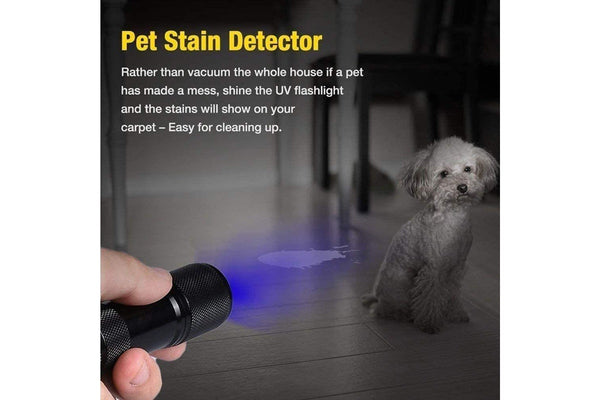 Ultraviolet LED Flashlight (Stain Detector)