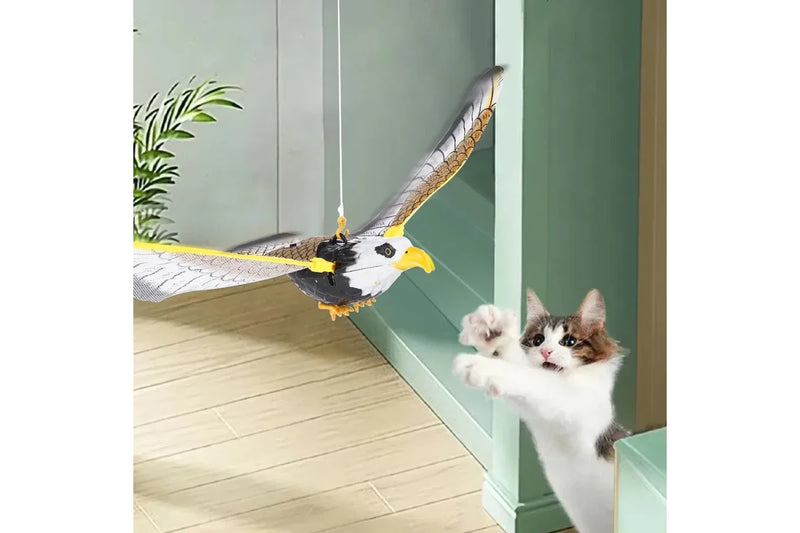 Electric Hanging Eagle Cat Interactive Toy Simulation Flying Bird Kitten Dog Teasering Play Toy