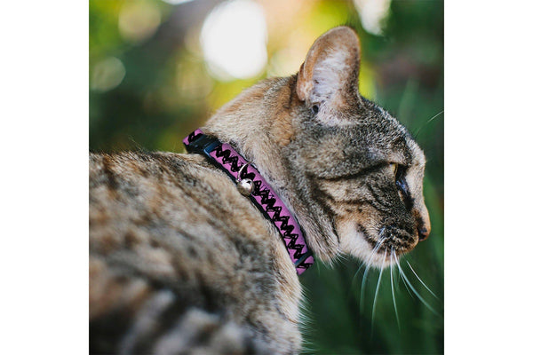 Peanuts: Charlie Brown Zig Zag Stripe Pink/Black - Breakaway Cat Collar with Bell