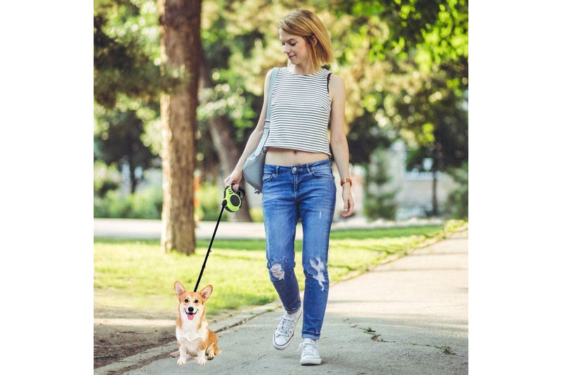 Retractable Dog Leash Extendable 5m With Folding Bowl Dispenser And Waste Bags Green