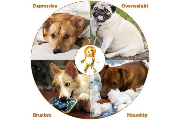 Lightweight Durable Teeth Cleaning Squeaker Dog Rope Pet Toy For Puppy Small And Medium Dogs