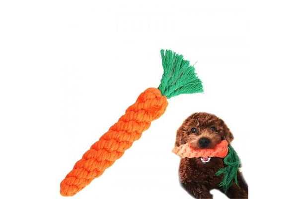 Handwoven Carrot Pet Cotton Rope Toy Bright Orange - Standard