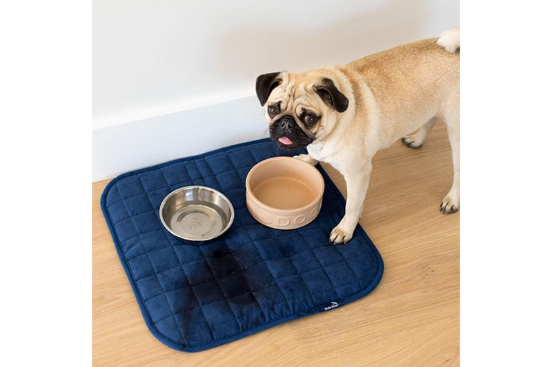 Brolly Sheets: Pet Chair Pad / Place Mat - Navy (Small)