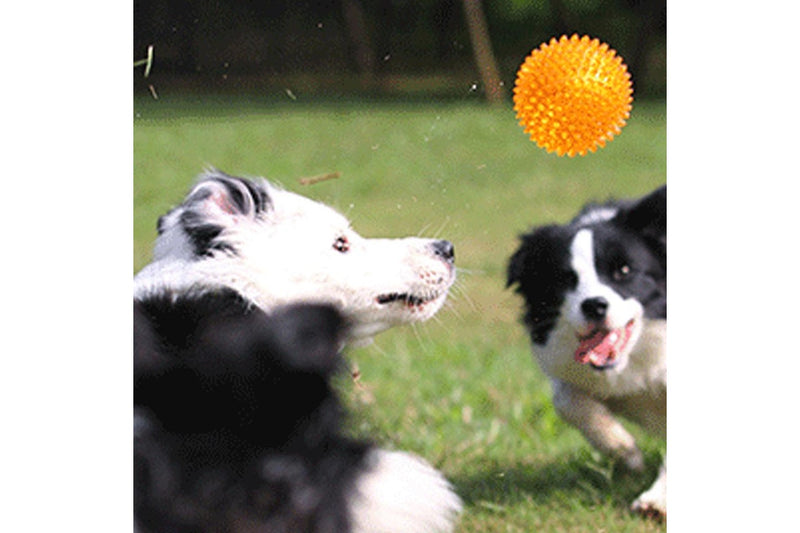 Set of 2 Pcs Pet Dog Squeaky Toys Spiky Dog Balls Cleaning Teeth Chewing Toys -Orange and Purple