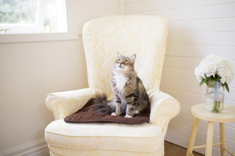 Brolly Sheets: Pet Chair Pad / Place Mat - Black (Small)