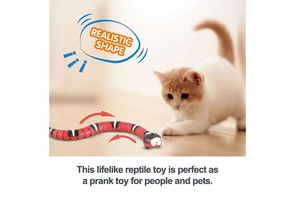 Interactive Smart Cat Toy With Usb Rechargeable Snake Teaser