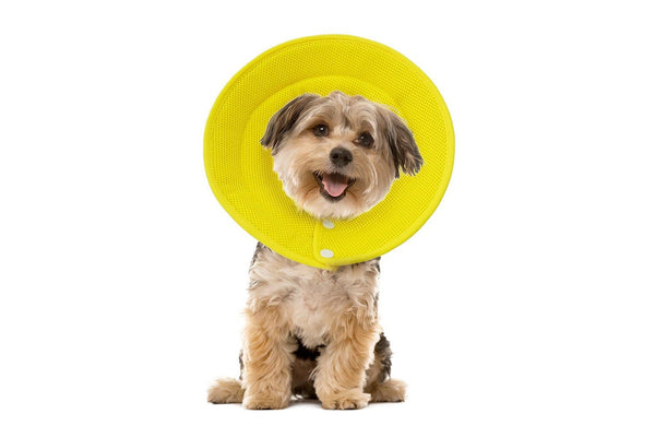 Pet Dog Cat Elizabethan Collar Adjustable Cone Mesh Recovery Multicolor