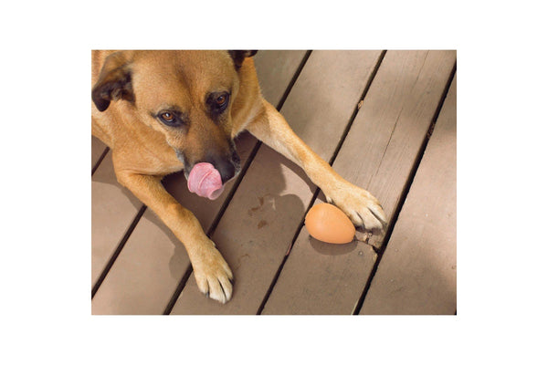 Kobe: Bouncy Egg - Dog Treat Ball