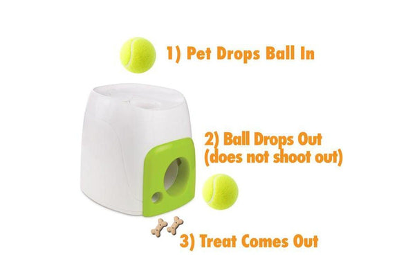 Fetch N Treat Dog Toy - Interactive Ball Roll and Reward Pet Play - All For Paws