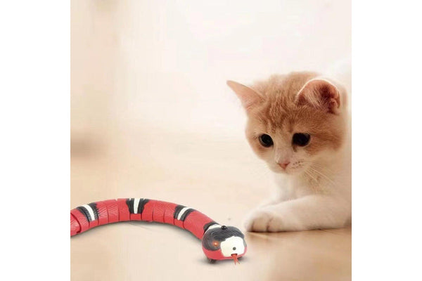 Smart Sensing Cat Toys Interactive Automatic Electronic Snake