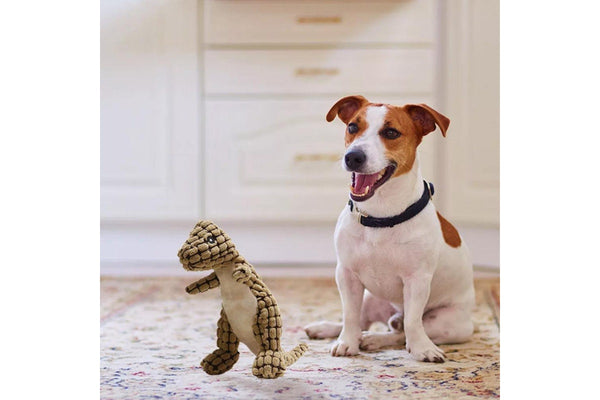 Fluffy Dinosaur Squeaky Toy for Dogs Pet Dog Sound Chew Toy Brown