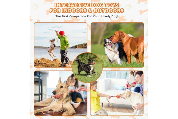 Tough Dog Toys Interactive Chew Toys