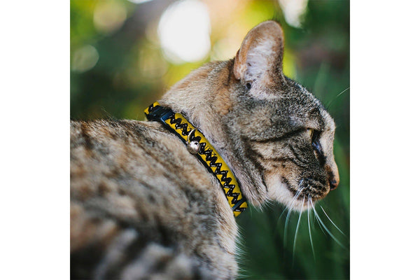 Peanuts: Charlie Brown Zig Zag Stripe Yellow/Black - Breakaway Cat Collar with Bell