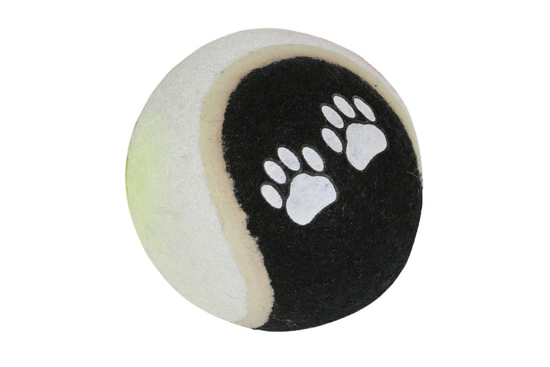 Regatta Dogs Tennis Balls (Pack of 4) (Multicoloured) (One Size)