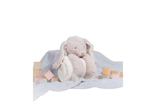 Mumbles Rabbit Plush Toy Set (Pack of 2) (Cream) (M)