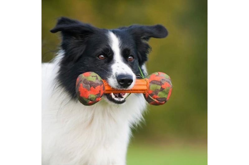 Major Dog Barbell - Small Retrieval Toy - One Size