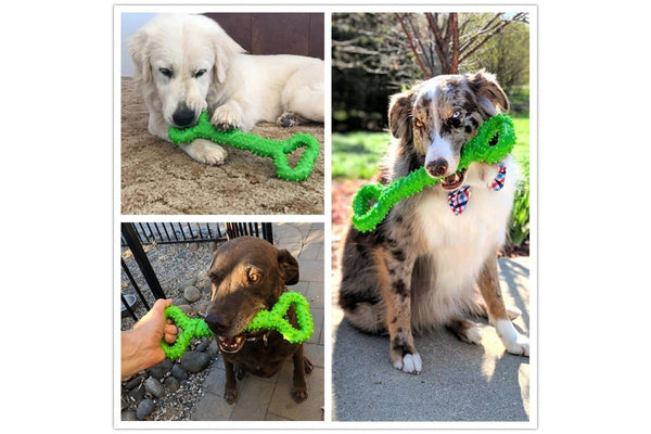 Durable Tooth Cleaning Interactive Dog Chew Bone Toy With Convex Design For Medium Large Dogs