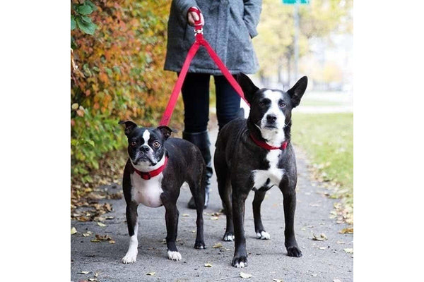 Double Dog Leash Lead Coupler - Walk and Control 2 Dogs Easily 2.0cm Width