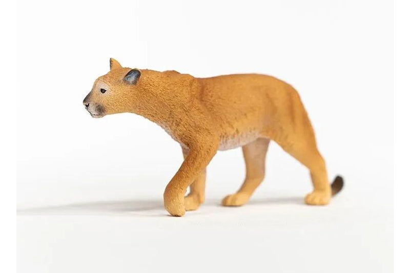 Schleich - Cougar