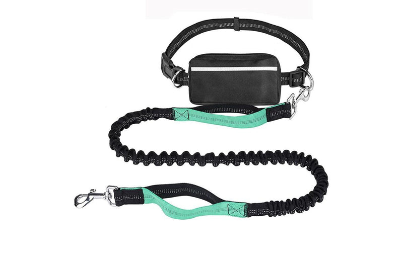 Hands-Free Dog Leash & Bag - Medium/Large Dogs (Teal)