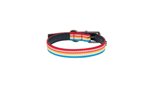 Joules Rainbow Striped Dog Collar (Multicoloured) (M)