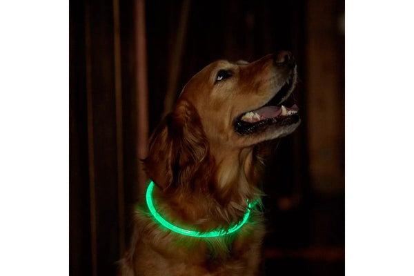 Light-Up Pet Dog Collars USB Rechargeable Pet Collar Adjustable Size Pet Collar Green