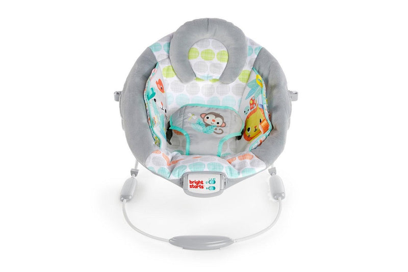 Bright Starts: Cradling Bouncer - Whimsical Wild