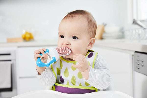 b.box: Fresh Food Feeder - Blueberry