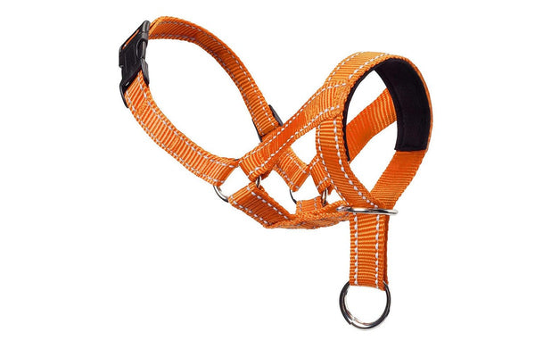 Adjustable Dog Head Collar Training Collar for Long-Snout Dogs Orange