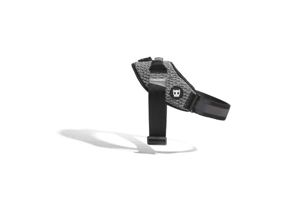 Zee.Dog: Urban FlyHarness - Size 3