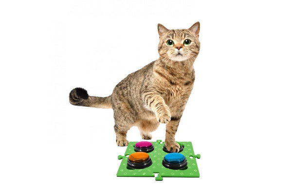 2PK Tech4Pets Mat Board Organiser Storage Holder For Talking Buttons Floor Green