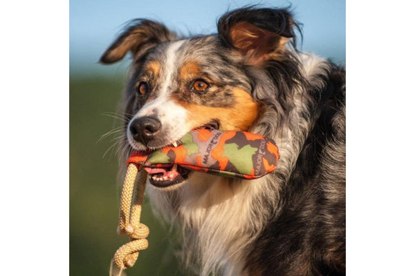 Major Dog Rascal Dummy - Fetch Toy - One Size