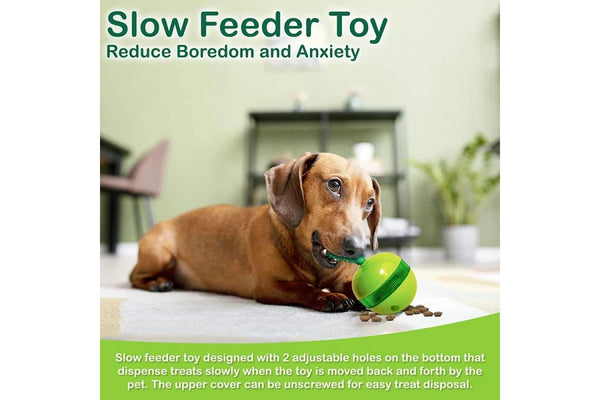 Cactus Tumbler Dog Chew Toy