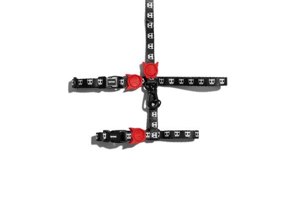 Zee.Cat: Skull Cat Harness & Lead Set