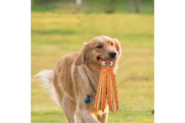 FancyGrab Dog Chew Toys Dog Squeaky Toys Octopus Squeaky Toys For Puppy Orange