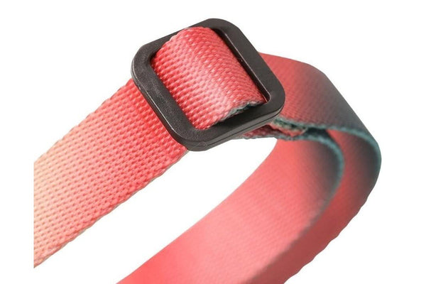 Pidan: Dog Collar with High-Strength Metal Buckle