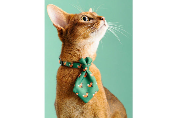 Pidan Pet Necktie Collar - Fox