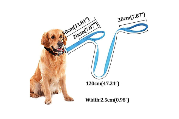 Double Handle Design Nylon Reflective Dog Leash