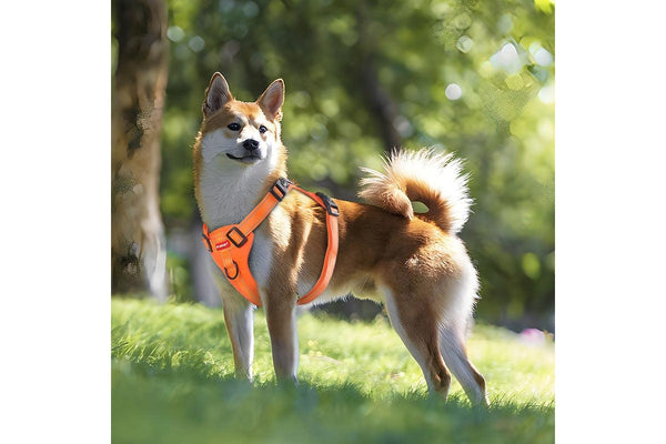 Reflective No Pull Adjustable Vest Dog Harness Leash With Handle Walking Training Pet Yellow Xs Size