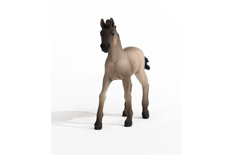 Schleich - Criollo Definitivo Foal